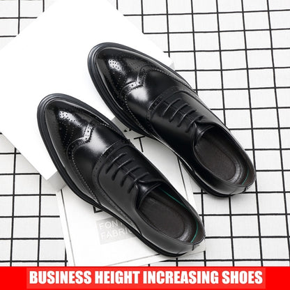 Men's Brogue Shoes in Genuine Leather